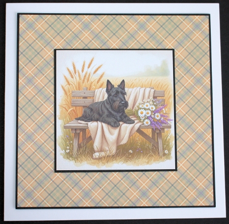 Wheat fields 4 by Marion Kimberley-Scott