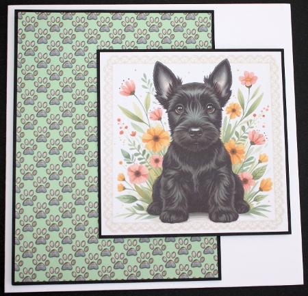 Floral pups 4 by Marion Kimberley-Scott