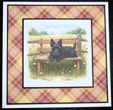 Lazy daises 5 by Marion Kimberley-Scott