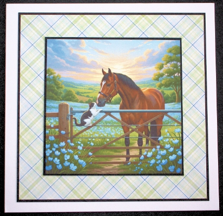 Field friends  by Marion Kimberley-Scott