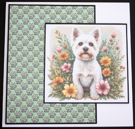 Floral terrier  by Marion Kimberley-Scott