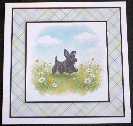Buttercup meadow 4 by Marion Kimberley-Scott