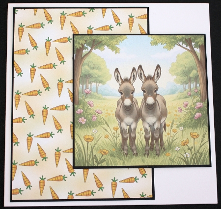 Donkey duo  by Marion Kimberley-Scott