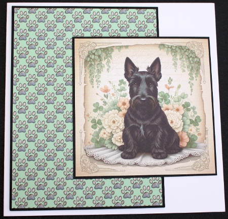 Soft Paws, Timeless Grace 4 by Marion Kimberley-Scott