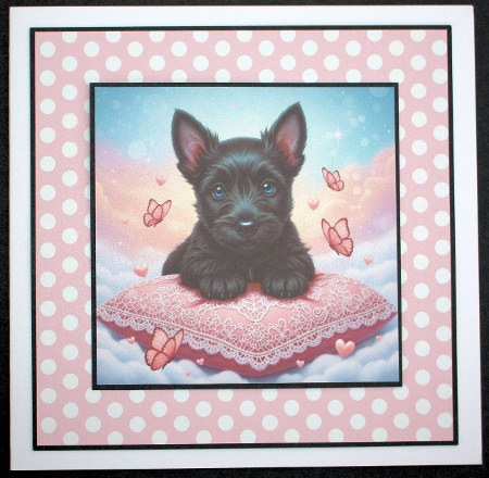 Lacy cushion pups 3 by Marion Kimberley-Scott
