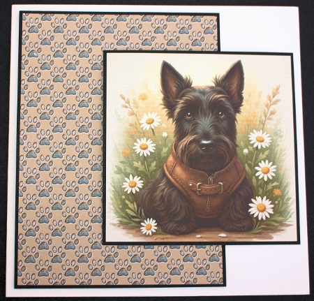 Daisy 4 by Marion Kimberley-Scott