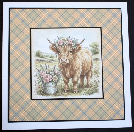 Highland cow  by Marion Kimberley-Scott