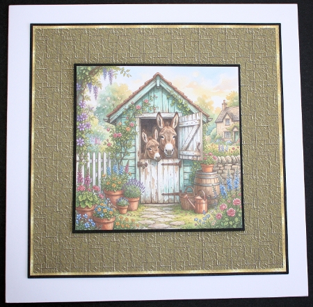 Donkey shed  by Marion Kimberley-Scott