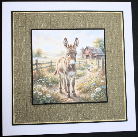 Donkey  by Marion Kimberley-Scott
