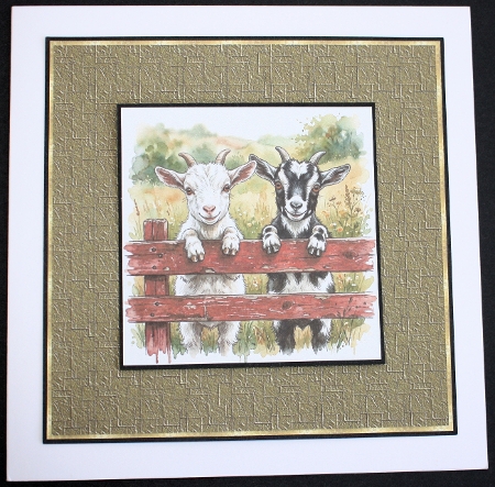 Goats 1 by Marion Kimberley-Scott