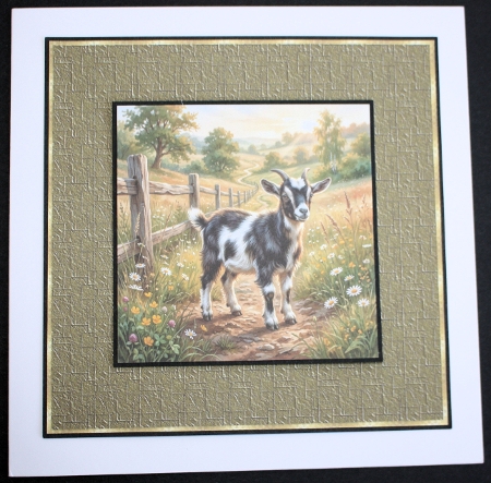 Goats 2 by Marion Kimberley-Scott