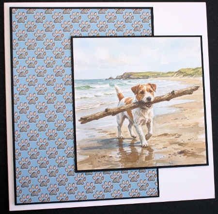 The Stick Champion 2 by Marion Kimberley-Scott