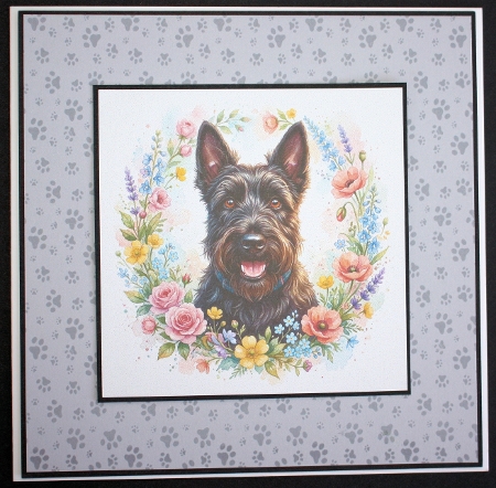 Petals and Paws 4 by Marion Kimberley-Scott