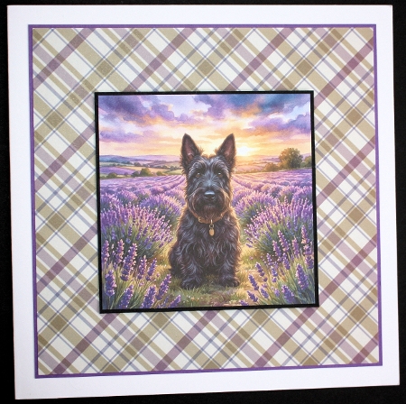 Lavender sunset 4 by Marion Kimberley-Scott