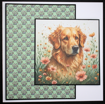 Golden retrivers by Marion Kimberley-Scott
