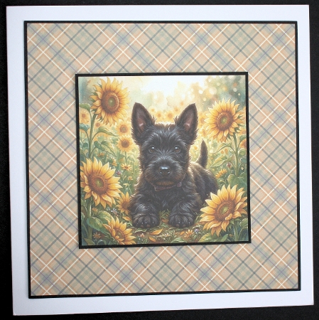 Sunflower pups 5 by Marion Kimberley-Scott