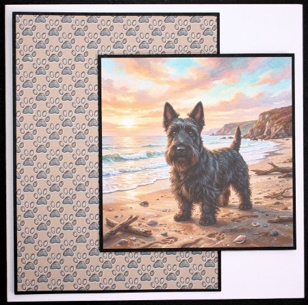 Sunet beach 5 by Marion Kimberley-Scott