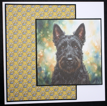Purfect portraits 4 by Marion Kimberley-Scott
