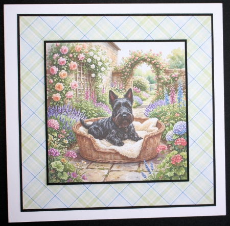 Garden slumber 4 by Marion Kimberley-Scott