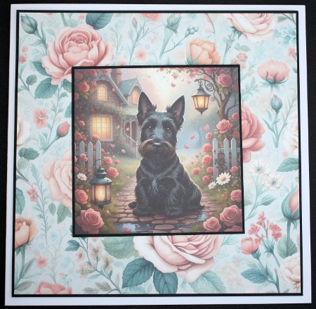 Rose cottage 4 by Marion Kimberley-Scott