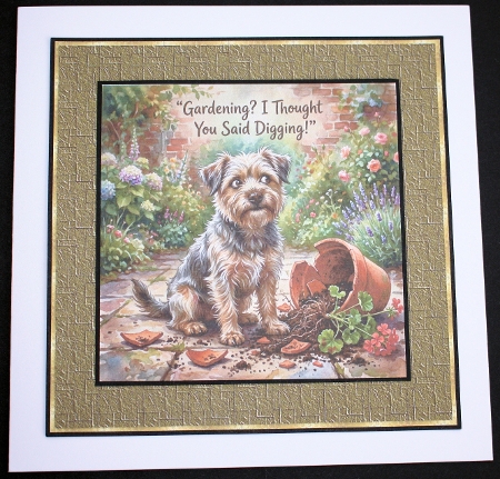 Cute funny dogs  by Marion Kimberley-Scott