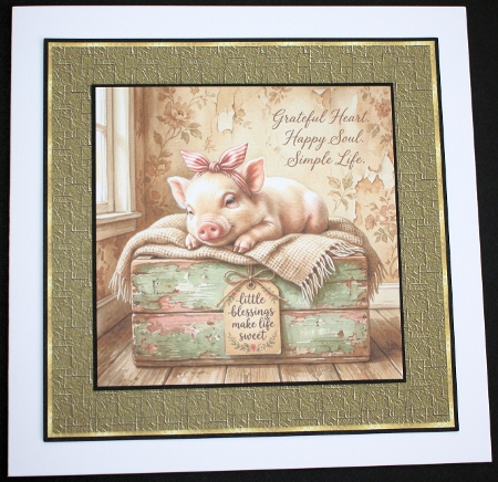 Sweet piglets  by Marion Kimberley-Scott