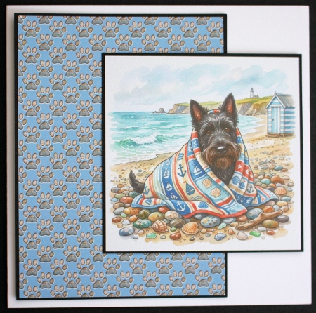 Cozie coastal 4 by Marion Kimberley-Scott