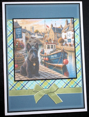 Harbor dogs  by Marion Kimberley-Scott