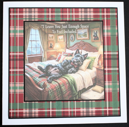Bed hogger 2 by Marion Kimberley-Scott