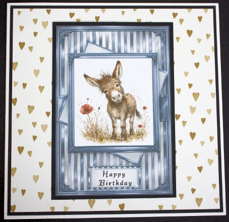 Sweet Donky Featured Gallery Photo