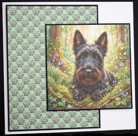 Woodland companion 4 by Marion Kimberley-Scott