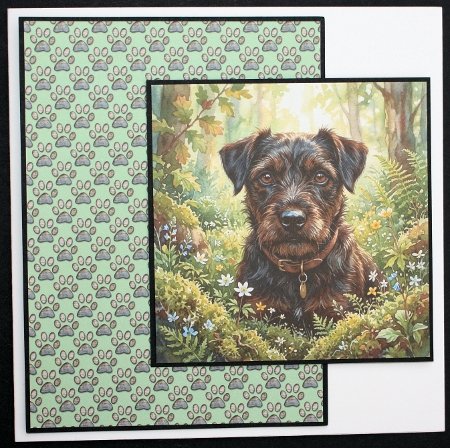 Woodland companion 5 by Marion Kimberley-Scott