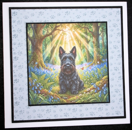 Bluebell woods 4 by Marion Kimberley-Scott