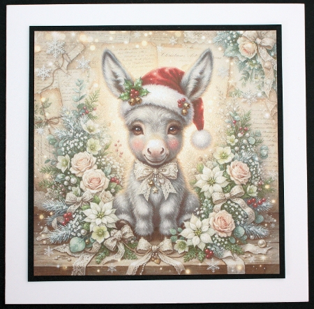 Christmas donkey  Featured Gallery Photo