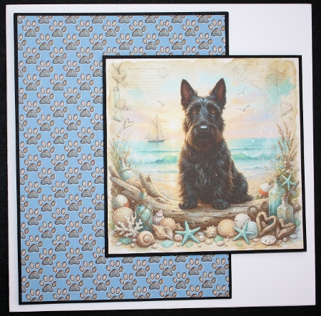 Coastal woofer 4 by Marion Kimberley-Scott