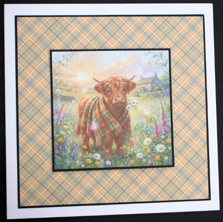 Highland calf  by Marion Kimberley-Scott