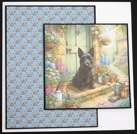 Door  step dogs 5 by Marion Kimberley-Scott