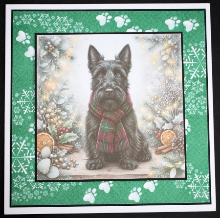 Festive dogs 5 Featured Gallery Photo