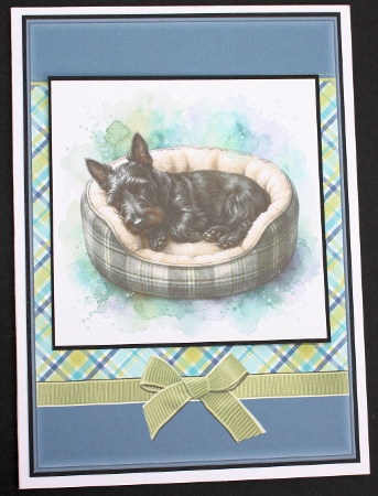 Nap time 4 by Marion Kimberley-Scott