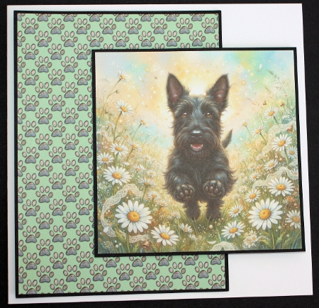 Daisy bells 4 by Marion Kimberley-Scott