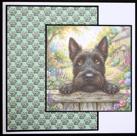 Paws at the garden gate 3 by Marion Kimberley-Scott