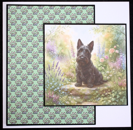 Country garden companion 3 by Marion Kimberley-Scott