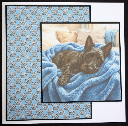 Cozy paws &  blankets 3 by Marion Kimberley-Scott