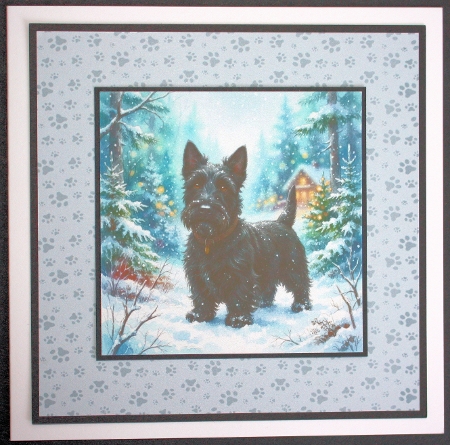 Winter paws collection 3 by Marion Kimberley-Scott