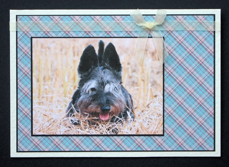 Basic Plaids Paper Pack by Marion Kimberley-Scott