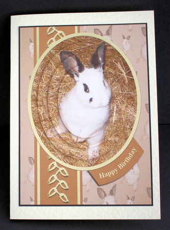 Supercute Bunny Birthday Card by Marion Kimberley-Scott