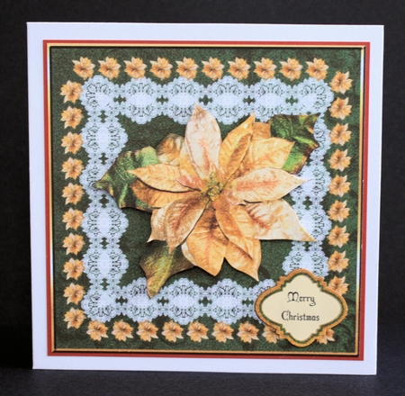 Golden Poinsettia by Marion Kimberley-Scott