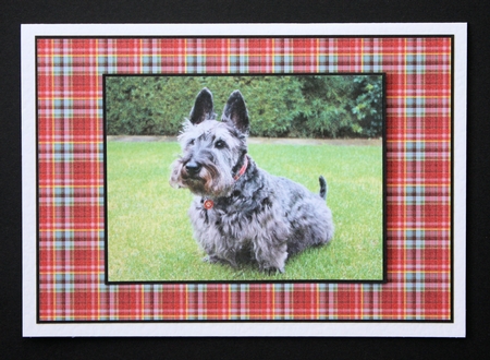 Christmas Tartan Set by Marion Kimberley-Scott