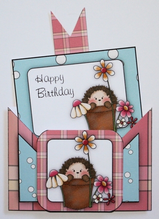 Criss Cross Pocket Hedgehog Birthday Card by Marion Kimberley-Scott