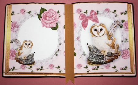 Cute Owl on a Branch with Pink Roses Open Book A4 by Marion Kimberley-Scott